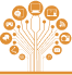 Custom Software Development